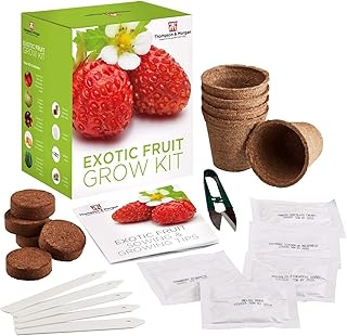 Exotic Fruit Seed Growing Kit Gift Box Grow Your Own Fruit Kit - 5 Flavours to Grow; Strawberry, Melon, Cherry Tomato, Physalis & Cucumber Seeds, Forbidden Fruit Growing Kit by Thomspon & Morgan