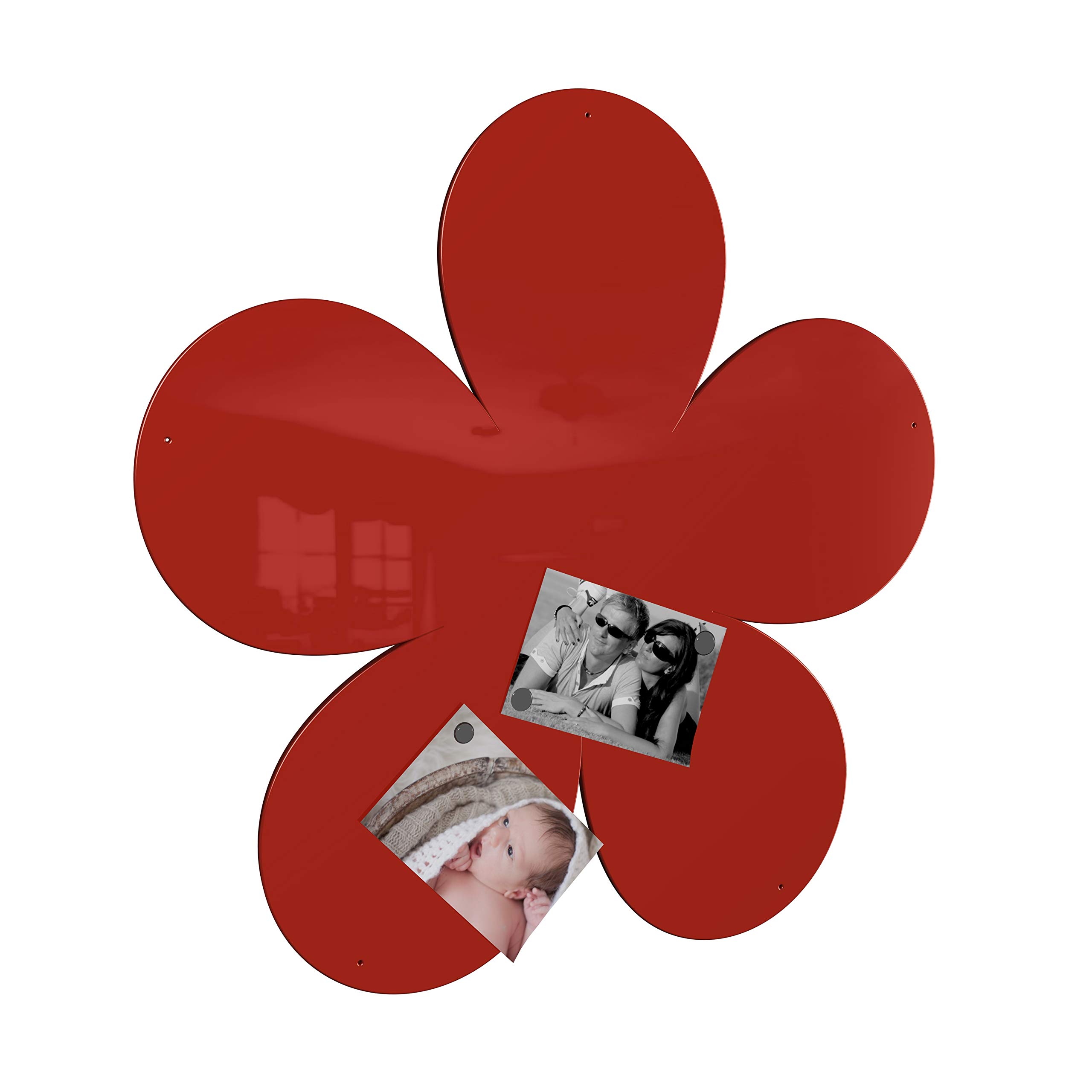 Blume Magnetwand - viele XXL groß Hochglanz (rot (RAL 3020 verkehrsrot glänzend))