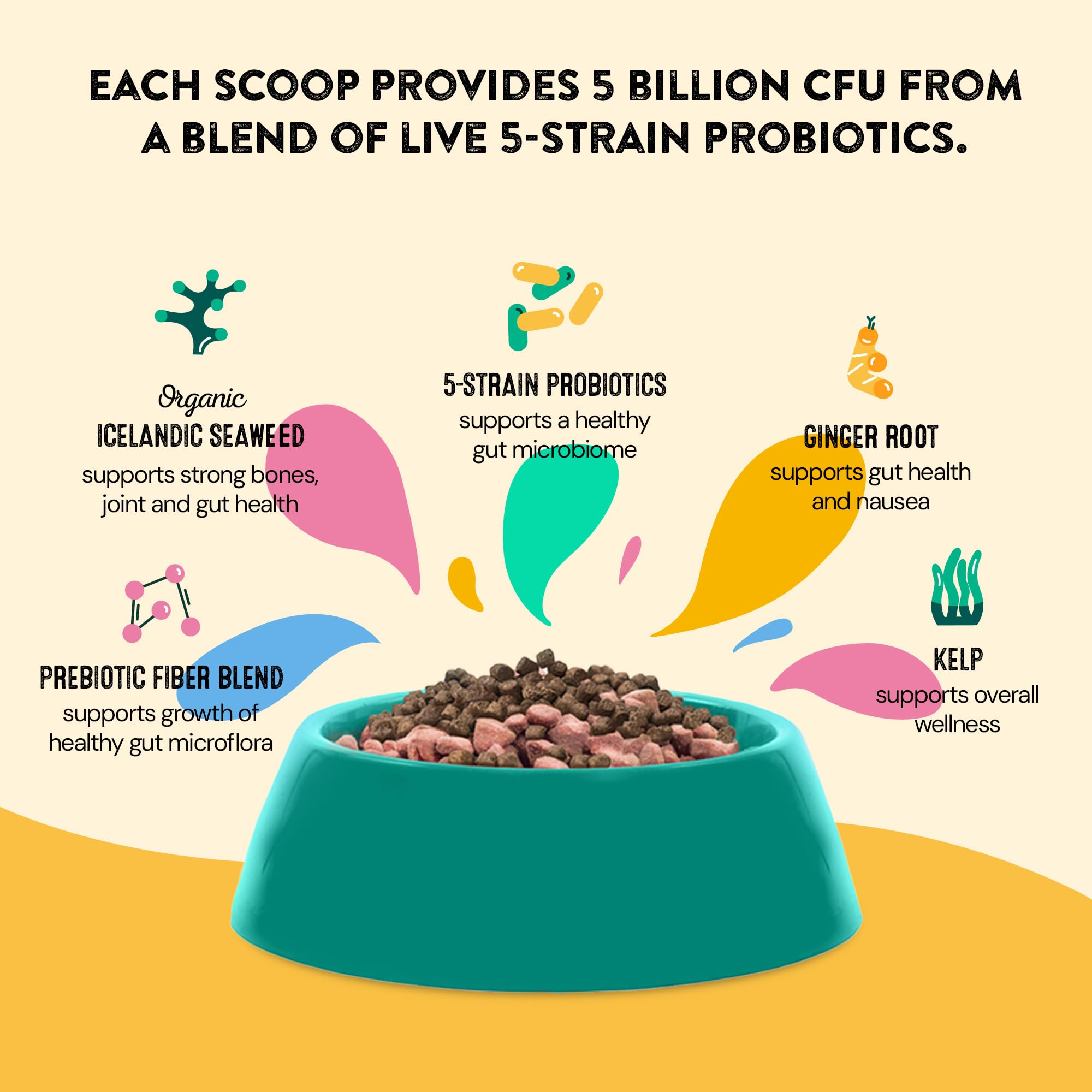 Dog Gut Health Probiotics Supplement | Improves Digestive Health and Immune System Support for Dogs and Puppies | All Natural Ingredients Tasty Kibble Dog Food Topper | 60 Count Pack