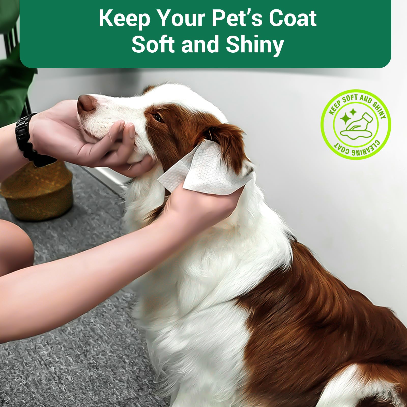 400 Salviette per cani non profumate per zampe e glutei Salviette spesse per cuccioli di grandi dimensioni per cani viso e corpo salviette per cani per pulizia deodoranti per gatti salviette per la