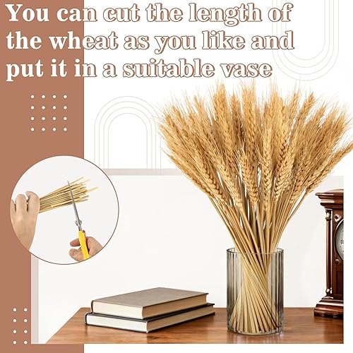 Miniatura 16 de Sukh Tallos de trigo seco rosa para decoración, 50 tallos de trigo rosa, ideales para el hogar, mesa de boda, centros de mesa de fiesta, decoración