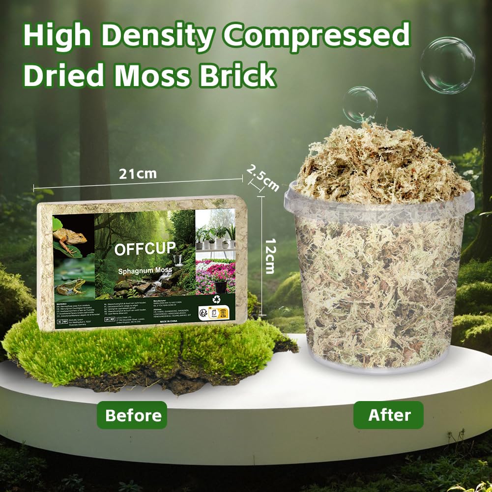 OFFCUP Natural Sphagnum Moss, 150g Dried Forest Moss for Maintain Humidity Terrarium Decor, Orchid Soil Medium - Image 2