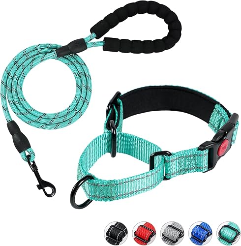 Martingale - Juego de collar y correa para perro, collar de perro con hebilla de liberación rápida, correa reflectante y collar ajustable para perro