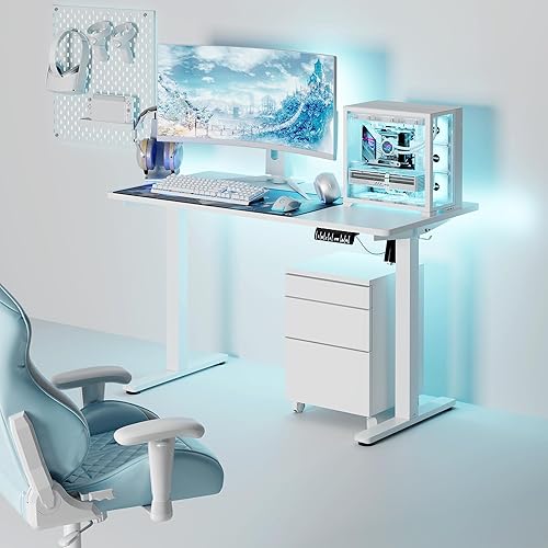 Shintenchi Escritorio eléctrico de altura ajustable, escritorio de computadora de pie de 48 x 24 pulgadas, escritorio de trabajo para oficina en