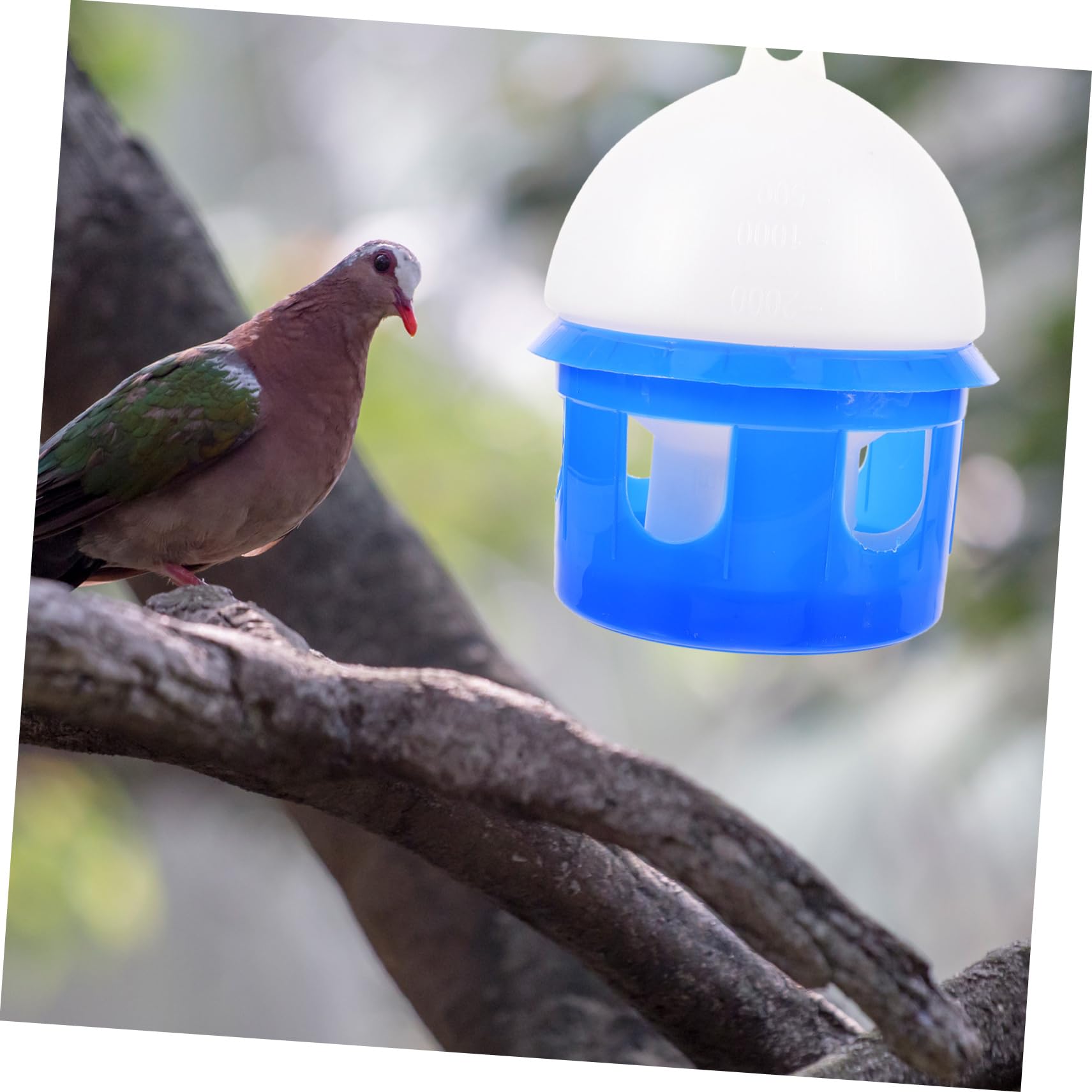 Bebedero de Agua para Aves Automático 4l Plástico Azul | Diseño Redondo, Pieza Desmontable, Uso Sencillo, para Aves y Pichones, Formato Exterior