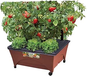 Earth Brown Resin Raised Garden Bed Grow Box Kit with Self Watering System and Casters Patio and Deck Gardening