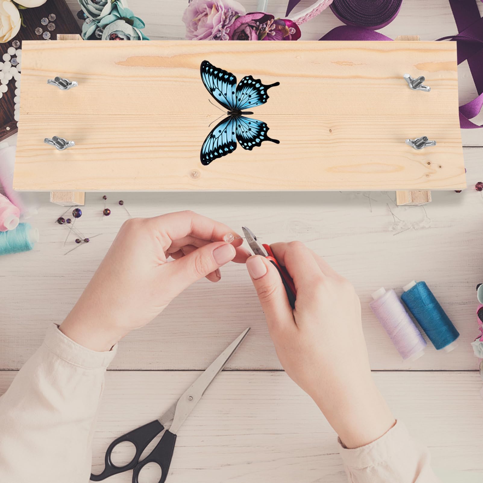 Unomor Collection Kit Specimen Display Board Wing Board DIY Specimen Pose Tool Educational Experiment Kit