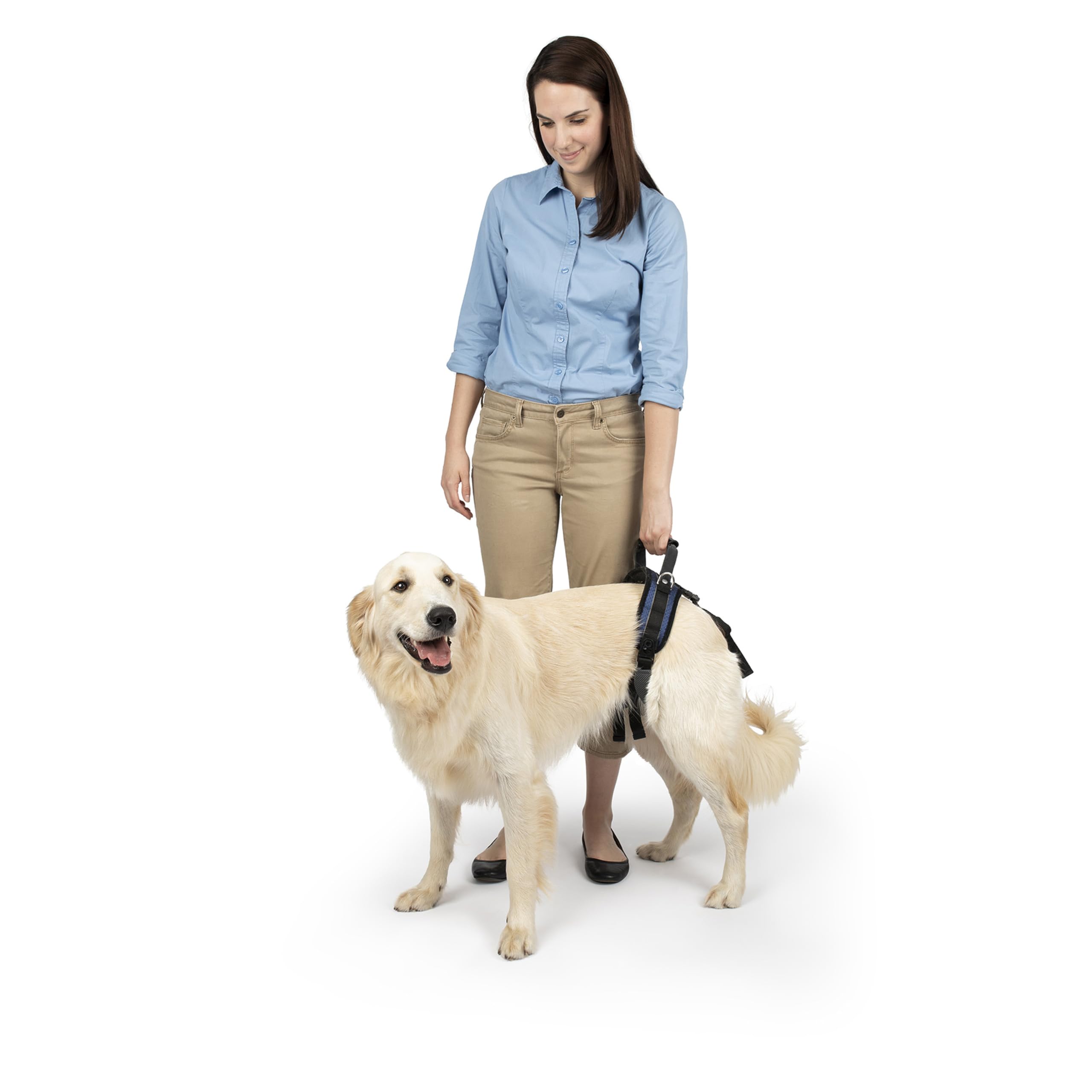 PetSafe CareLift Arnés de Elevación Trasera para Perros, Arnés de Soporte con Asa y Correa, Perros Discapacitados o Ancianos, Material Transpirable y Cómodo, Fácil Ajuste, Perro Grande