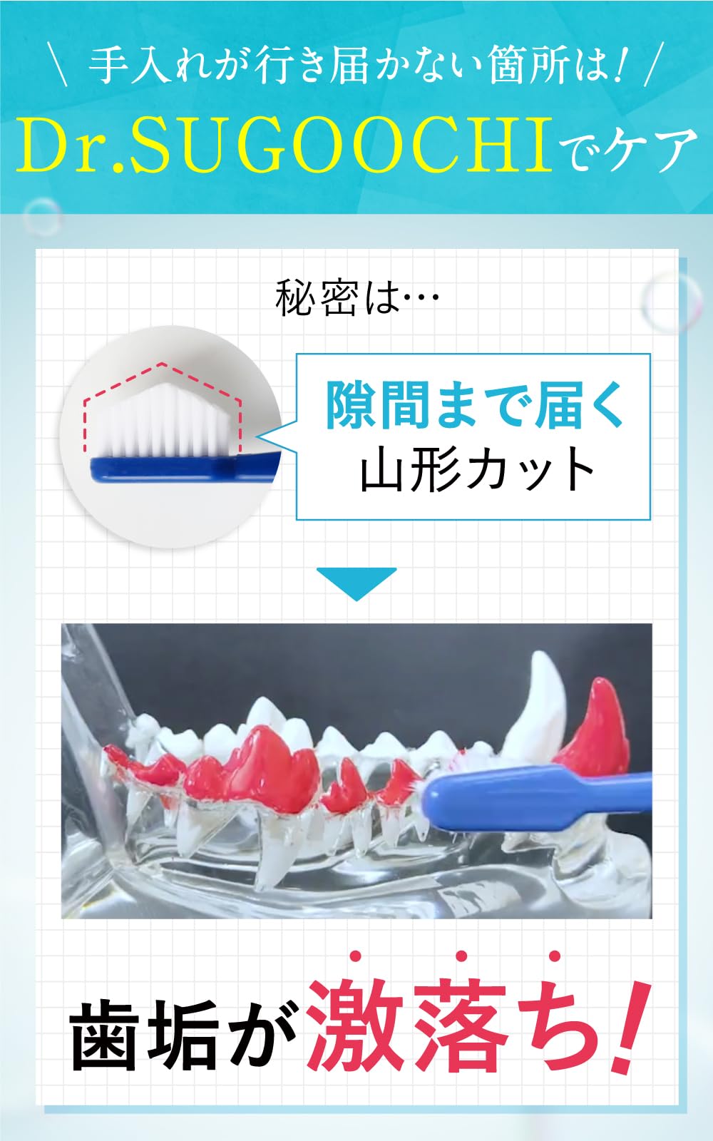 Amazon.co.jp: 【ドクタースゴオチ】ドクターデンタルワン 犬 奇跡の