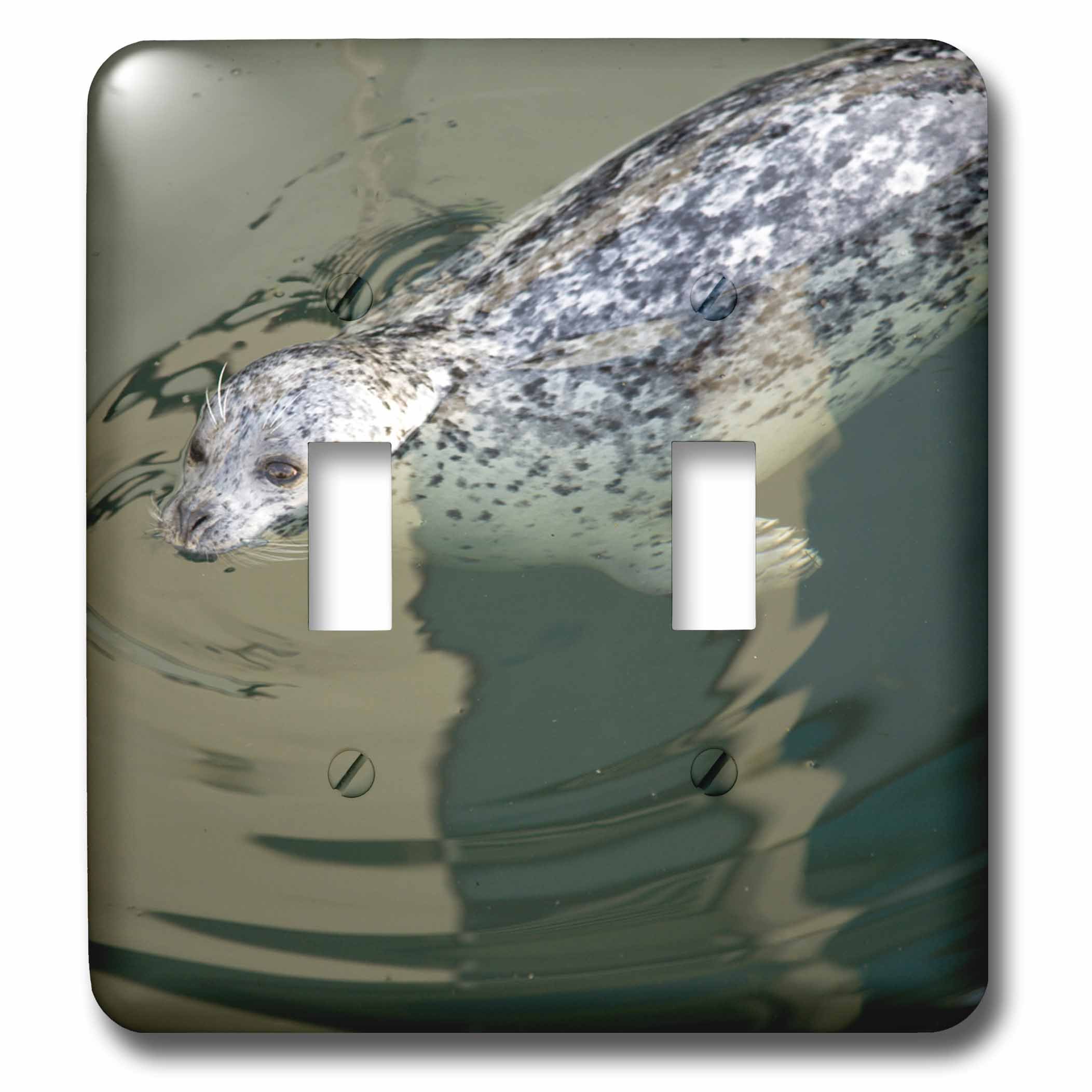 Interrupteur à bascule double British Columbia Victoria Harbor Seals par 3dRose lsp_74891_2