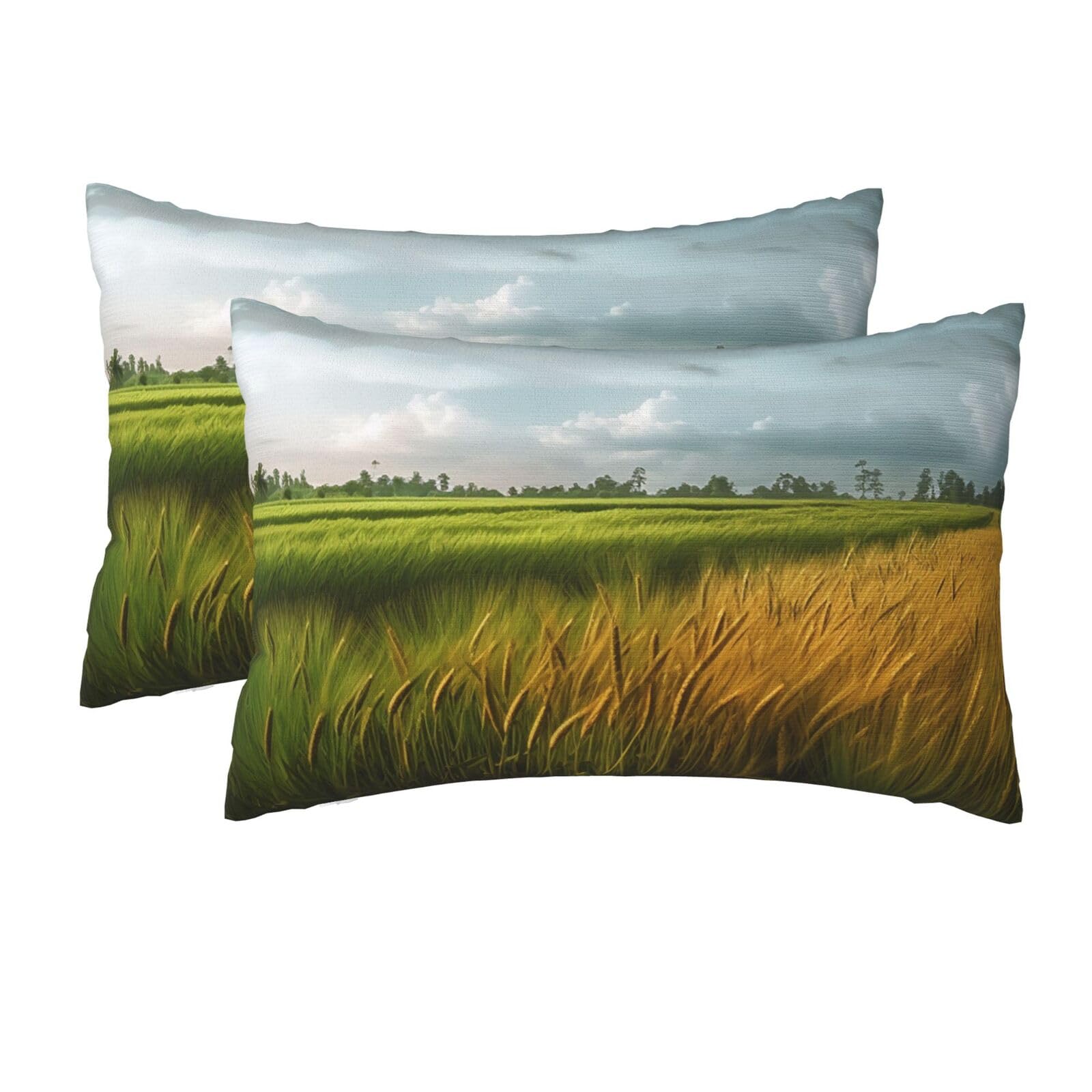 2 Pack Queen Size Pillow Cases for Hair and Skin Soft Breathable Pillow Case Covers with Hidden Zipper Paddy Rice Field Pillowcase 20x30 Inches Pillow Cover for Sleeping Gift