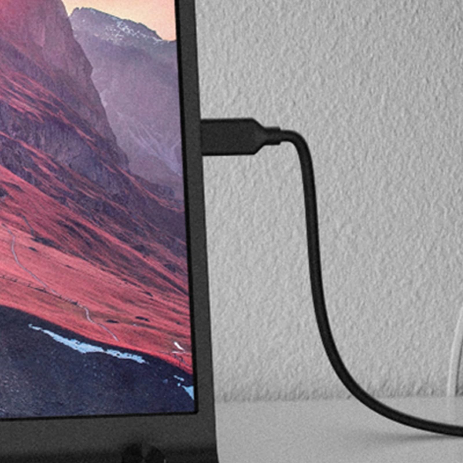 Monitor Wyświetlacza Komputerowego Urządzenie z Wiernymi Kolorami 39,6 cm