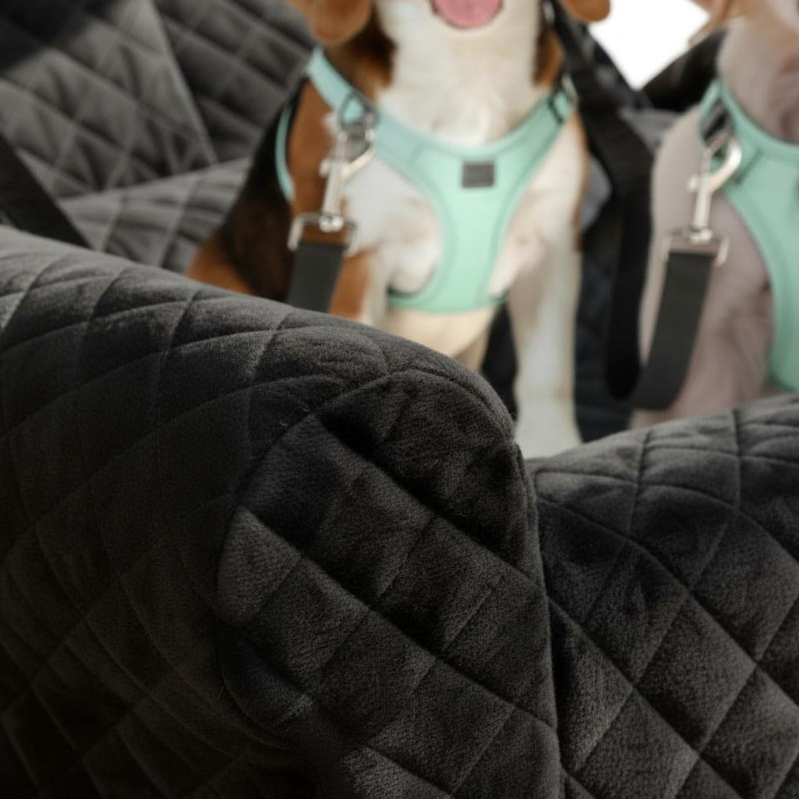 Cuscino Auto per Cani Cuccia Auto per Lettino da Viaggio per con Struttura Ergonomica E Interno Morbido Cinghie di E Tappetino Estraibile Adatto Guida Bagagliaio Soggiorno Gite, Nero