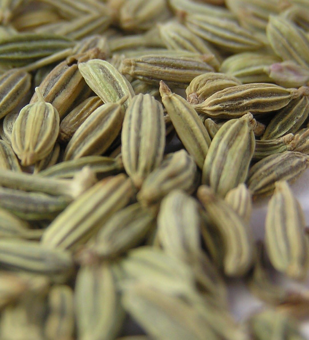 Bulk Organic Cumin Seed (10 lb)