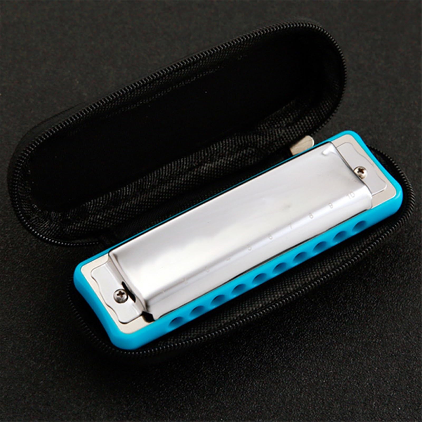 principianti armonica Armonica Blues A 10 Buche Per Principianti Musicisti Avanzati E Adulti(Blue)