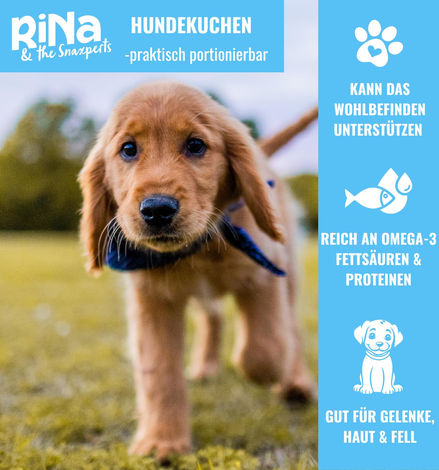 Fisch Leckerli Hundekuchen Riegelbox 6x300g mit Sardine, Brokkoli, Spirulina, Kokosöl & Bierhefe - Proteinreich, glutenfrei & ofengebacken - Für Fell, Haut & Immunsystem von RiNa leckerer Snack Hunde