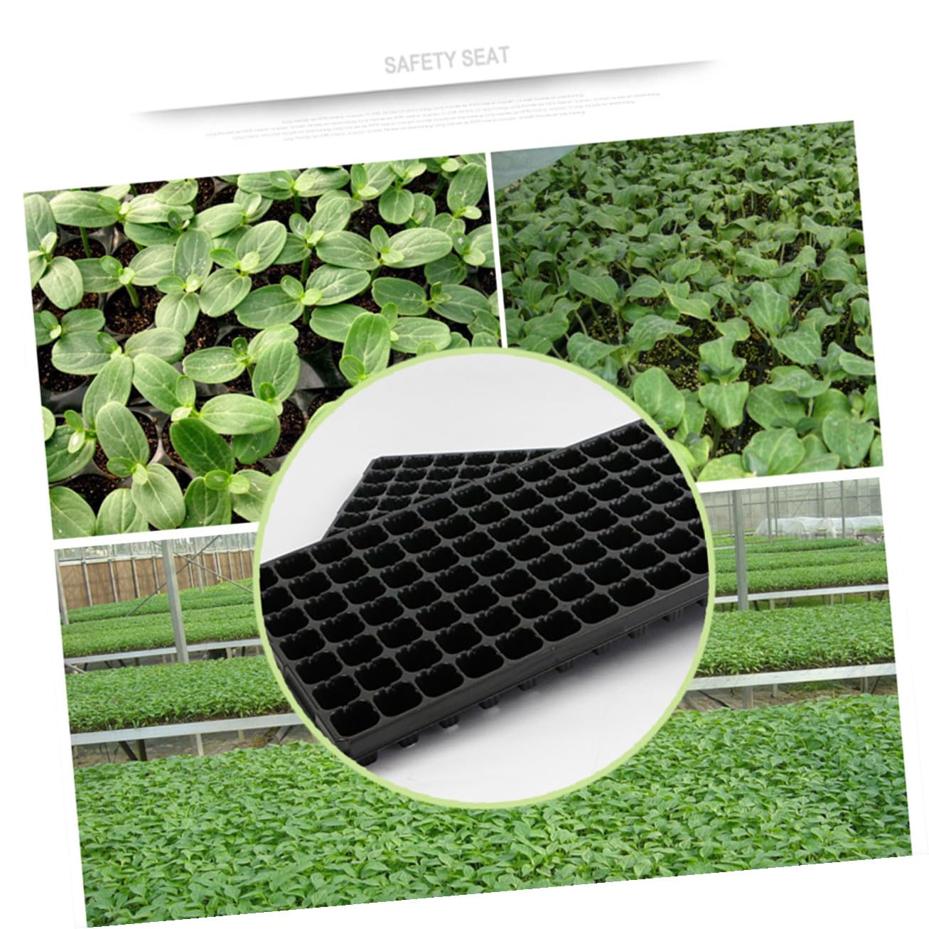 Artibetter Lot de 10 Plateaux de Semis en PVC 105 Alvéoles Trous, Plateau de Germination Solide pour Jardinage Potager DIY et Professionnel, Protège la Pourriture des Racines