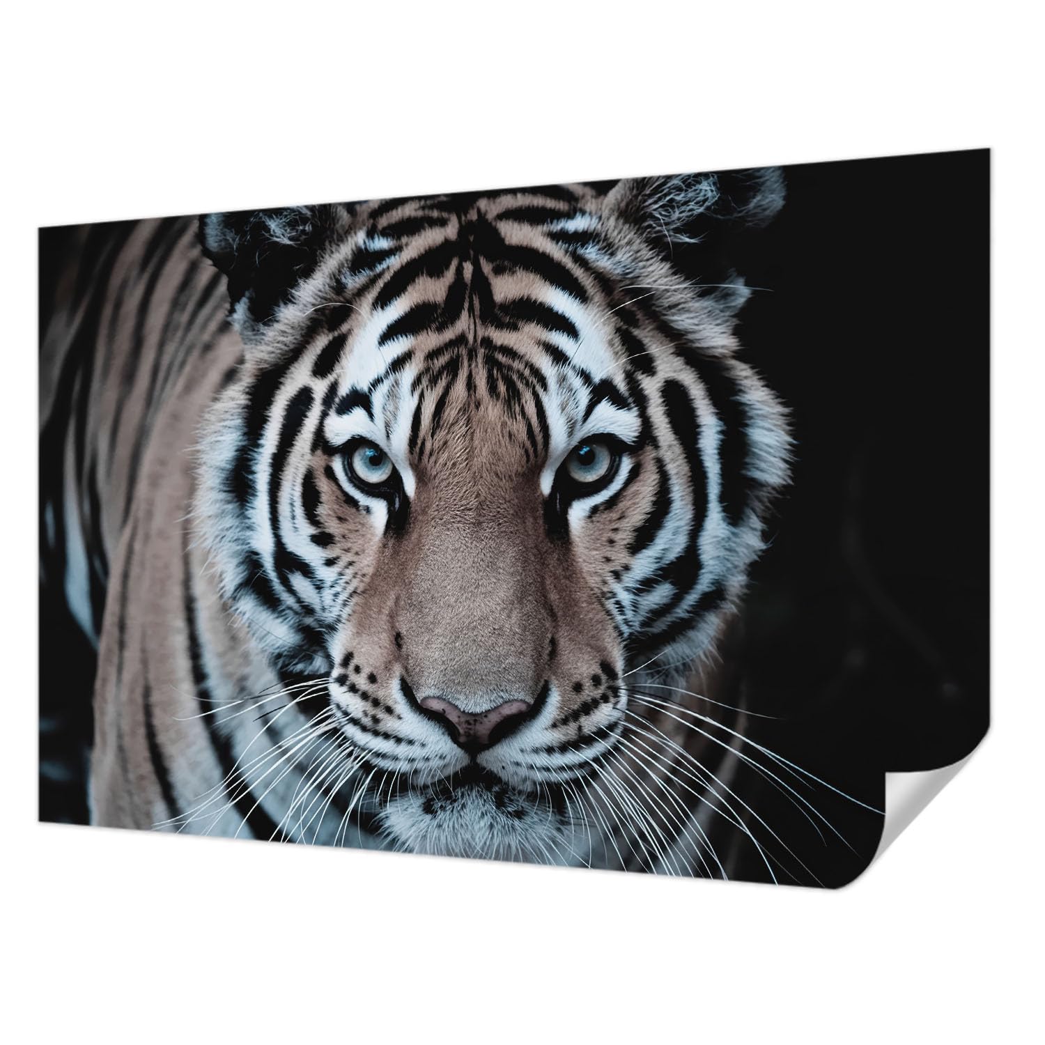 Décor mural adhésif tigre pour transformer le salon 104x70 cm