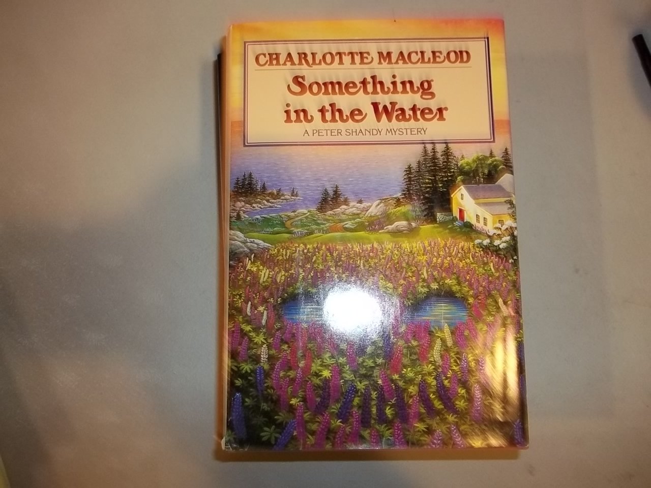 Buy Something in the Water — BookShops.in