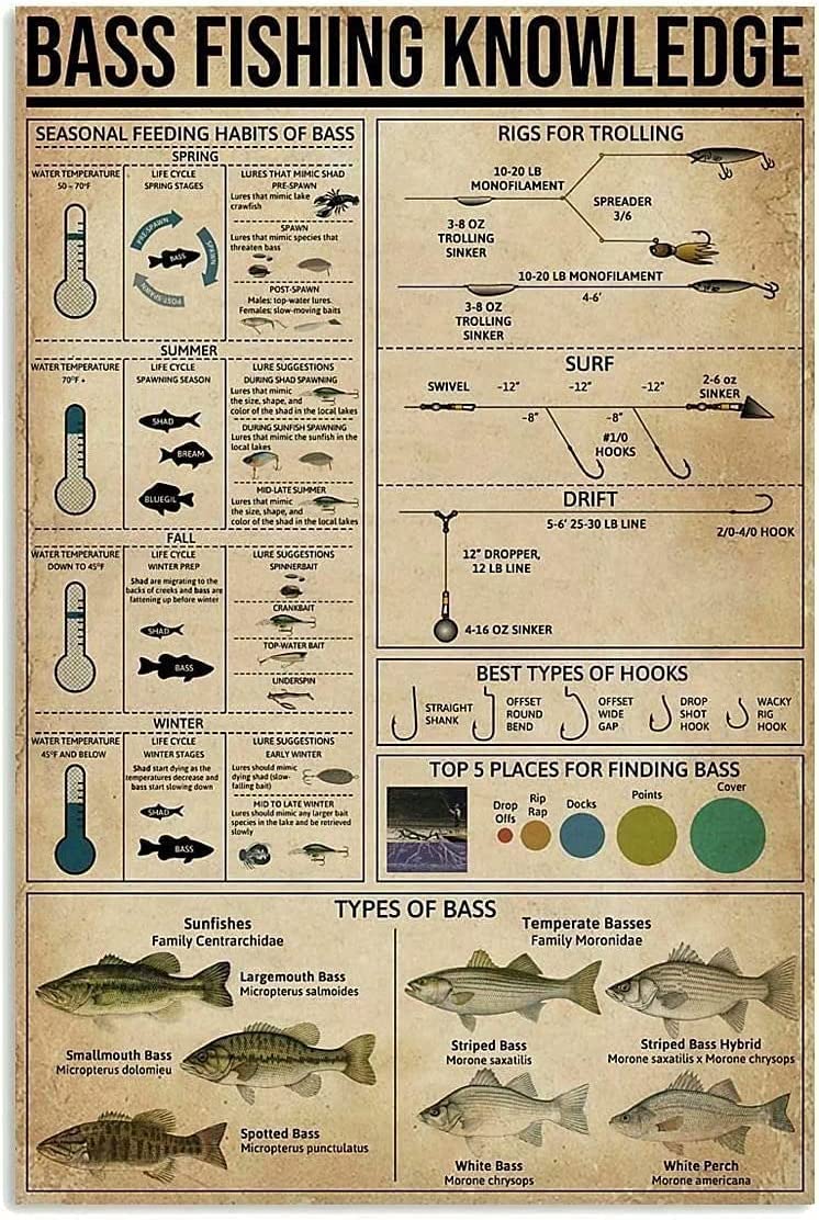 Haosensix Metal Knowledge Signs Bass Fishing Knowledge Tin Sign Retro Poster Plaque Wall Decoration for School Home Bedroom Kitchen Bar Garage 12x16 Inches