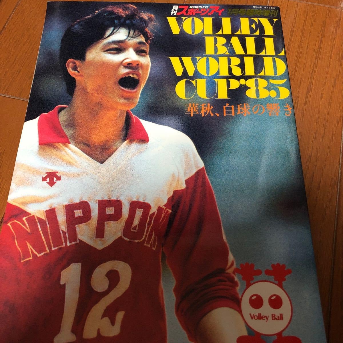 ワールドカップバレー９１ パンフレット ワールドカップバレー91 パンフレット Yahoo!オークション