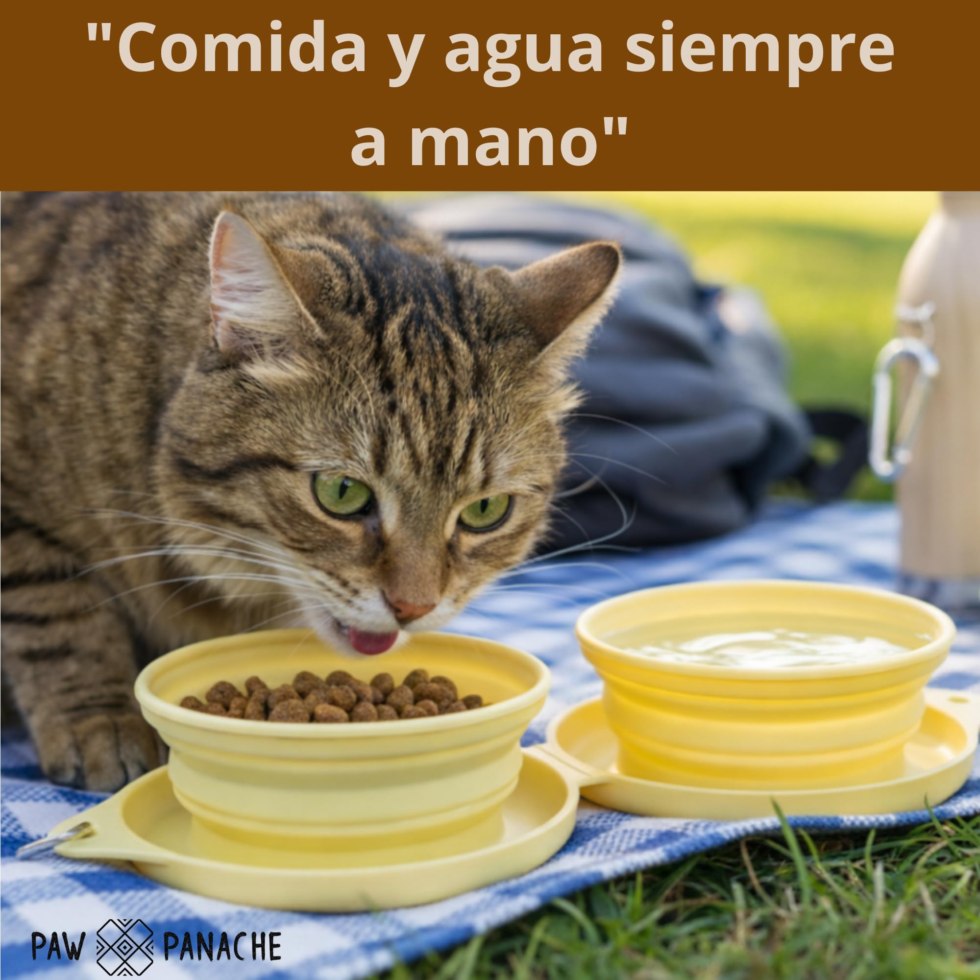 Transportín para Gato Apto para Avión – Bolsa Blanda y Plegable hasta 8 kg con Asa y Correa – Ideal para Viajes y Coche