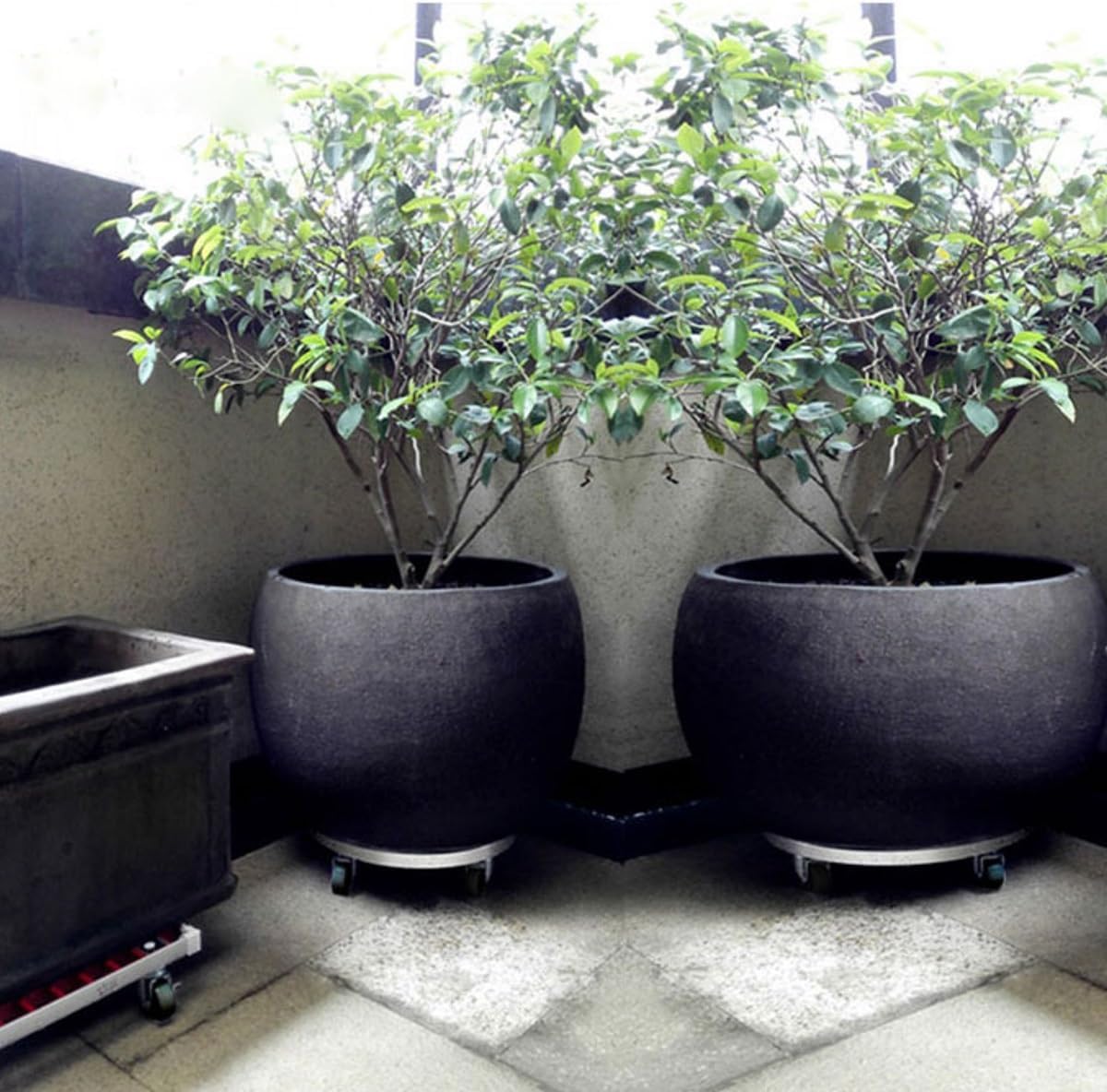 丸型 植物キャディ ブラック ホイール付き 360&deg;回転キャスター付き 植物パレット 丸型 鉢植え植物移動台（庭、パティオ、庭先、デ