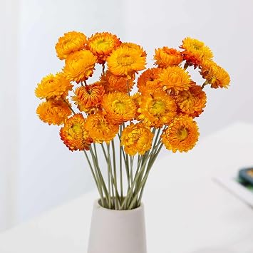 40 Pcs Dried Daisy Flower Bouquet, 17" Yellow Fall Flowers, Vase Filler