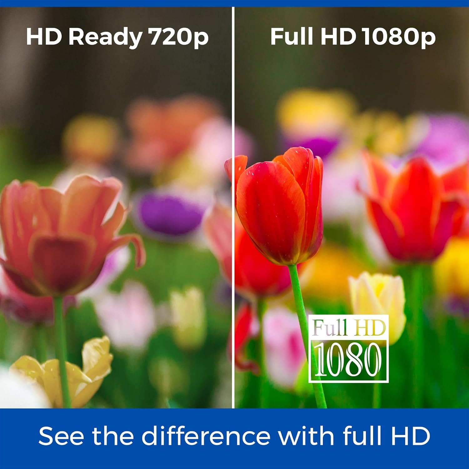 HKC NB32C 32-inch Curved LED Monitor, Full-HD 1920x1080, HDMI, VGA, Flicker Free, Low-Blue Light - View #11