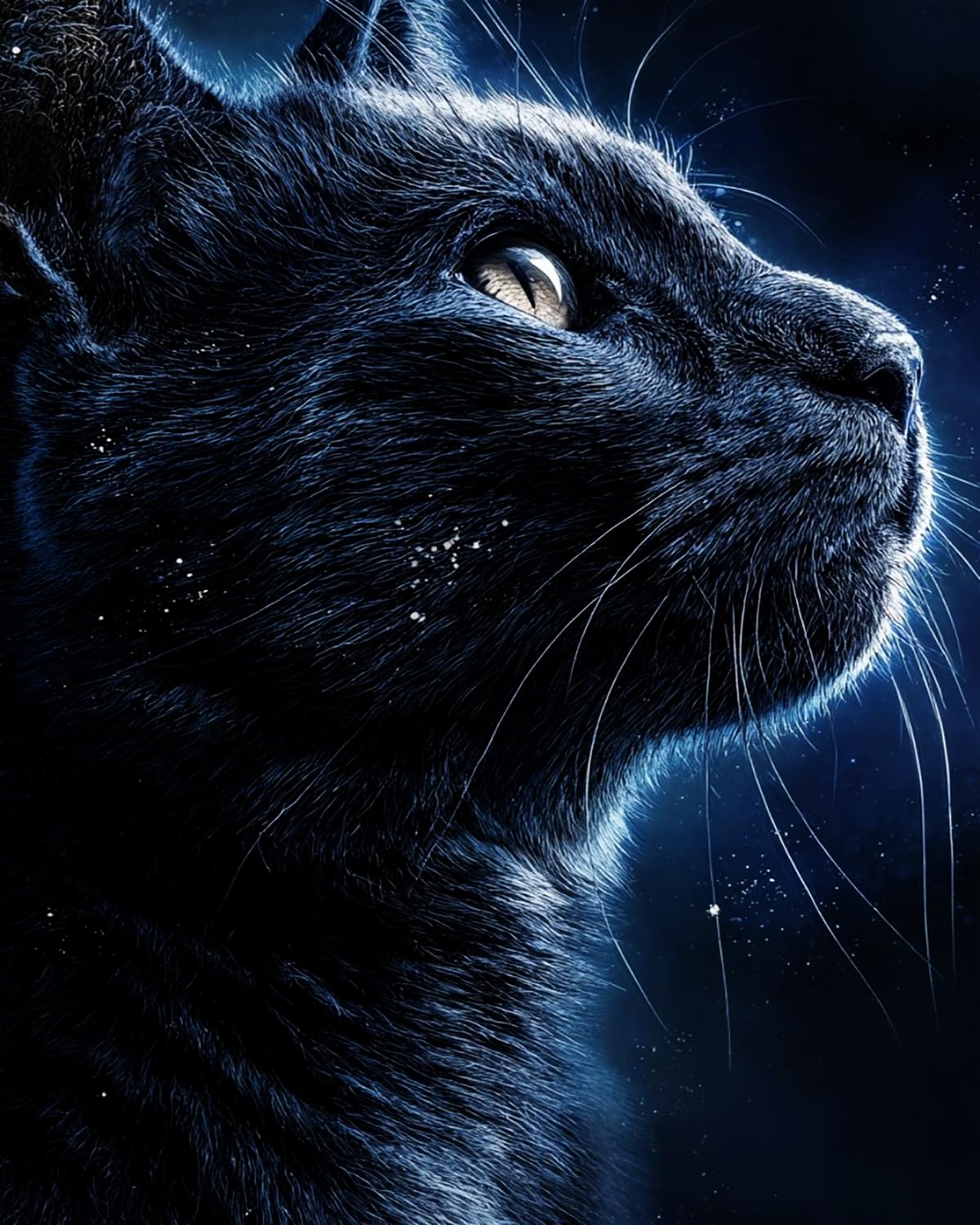 LIUBAISHI Paint by Numbers for Adults – 16x20 Canvas | Oil Painting Kit for Home Decor, Stress Relief Craft, Gift for Adults with Paints and Brushes-Night-Eyed Black Cat