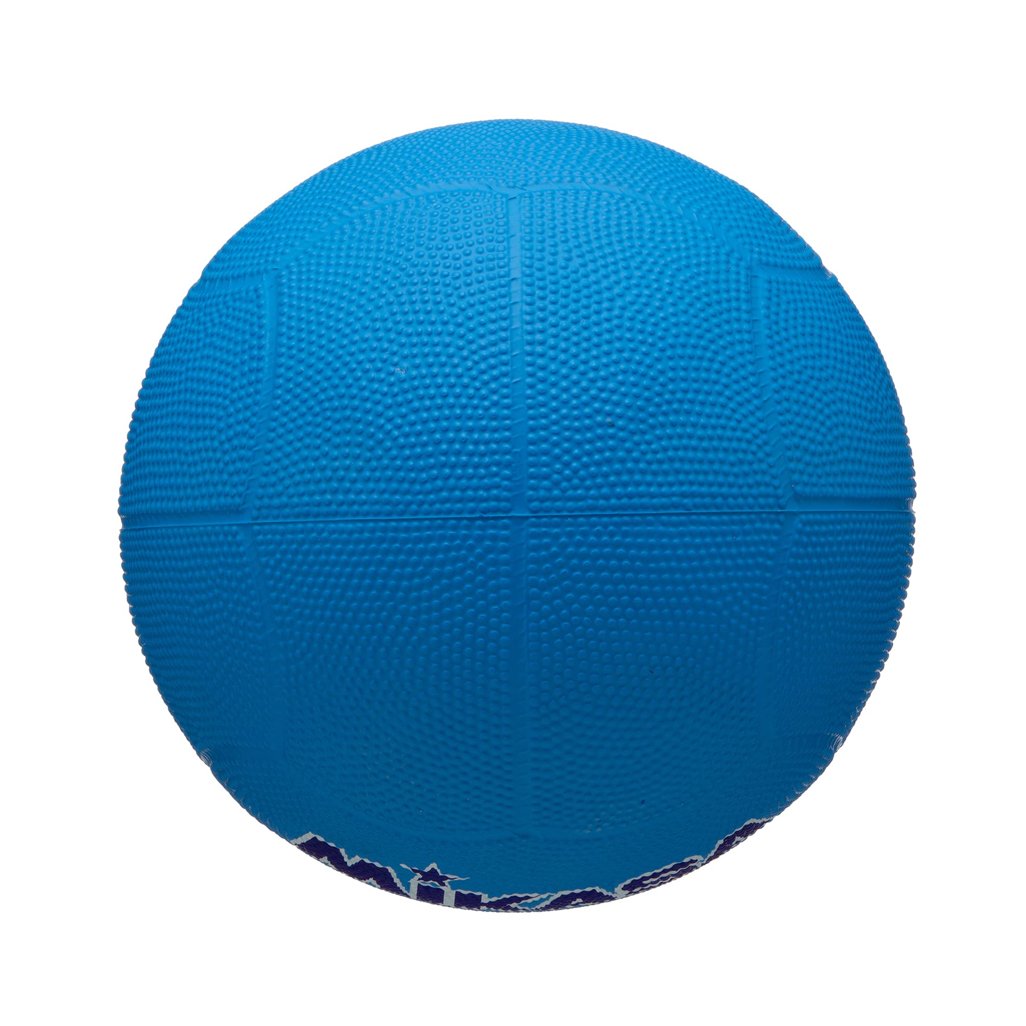 Mikasa Dodgeball D2-BL