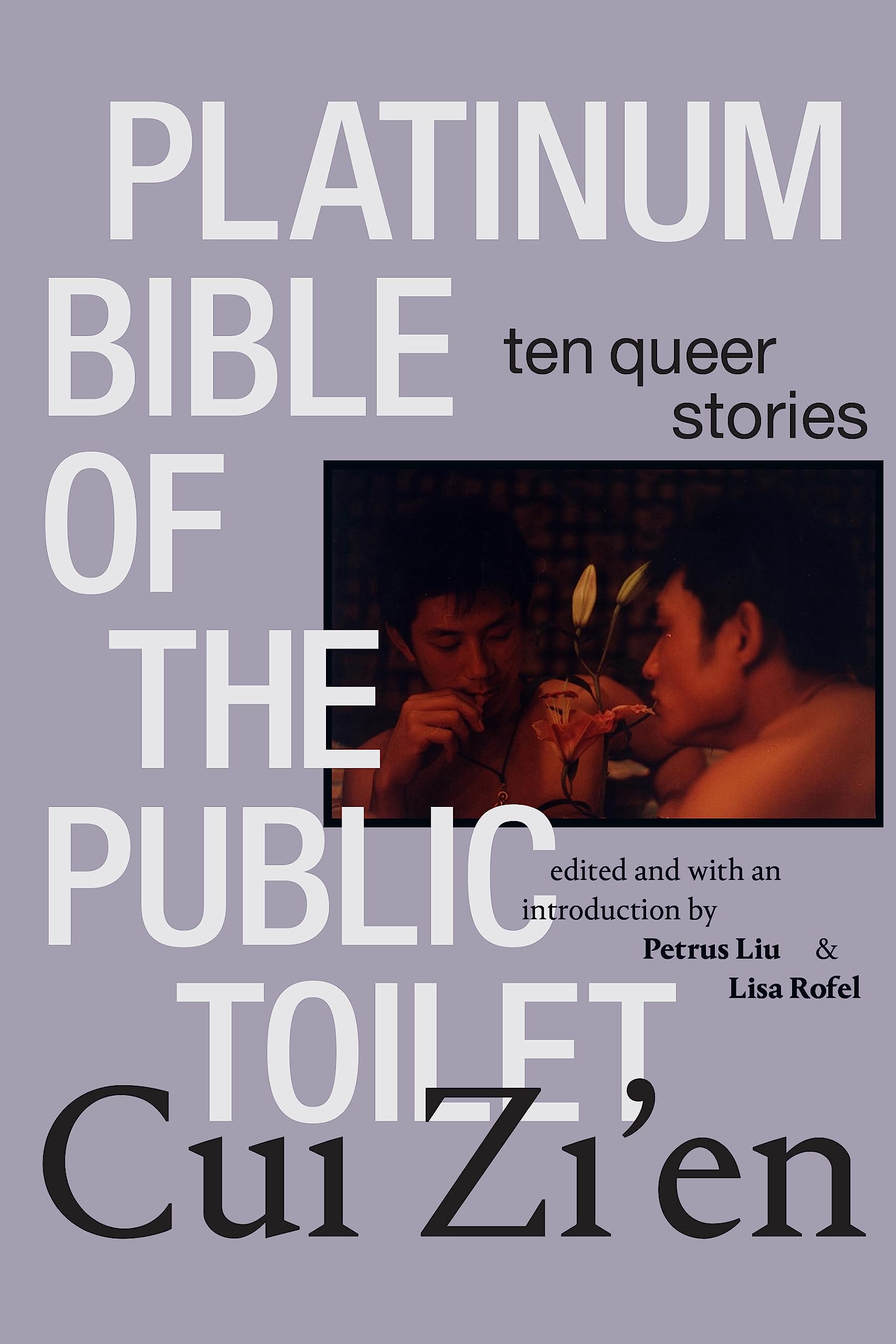 Platinum Bible of the Public Toilet: Compelling Collection of Ten Queer Stories