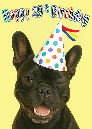 Miniatura 37 de Glory To Dog Te conseguí un pastel de cumpleaños y estaba delicioso Feliz cumpleaños de La Tarjeta de cumpleaños de perro con sobre de felicitación