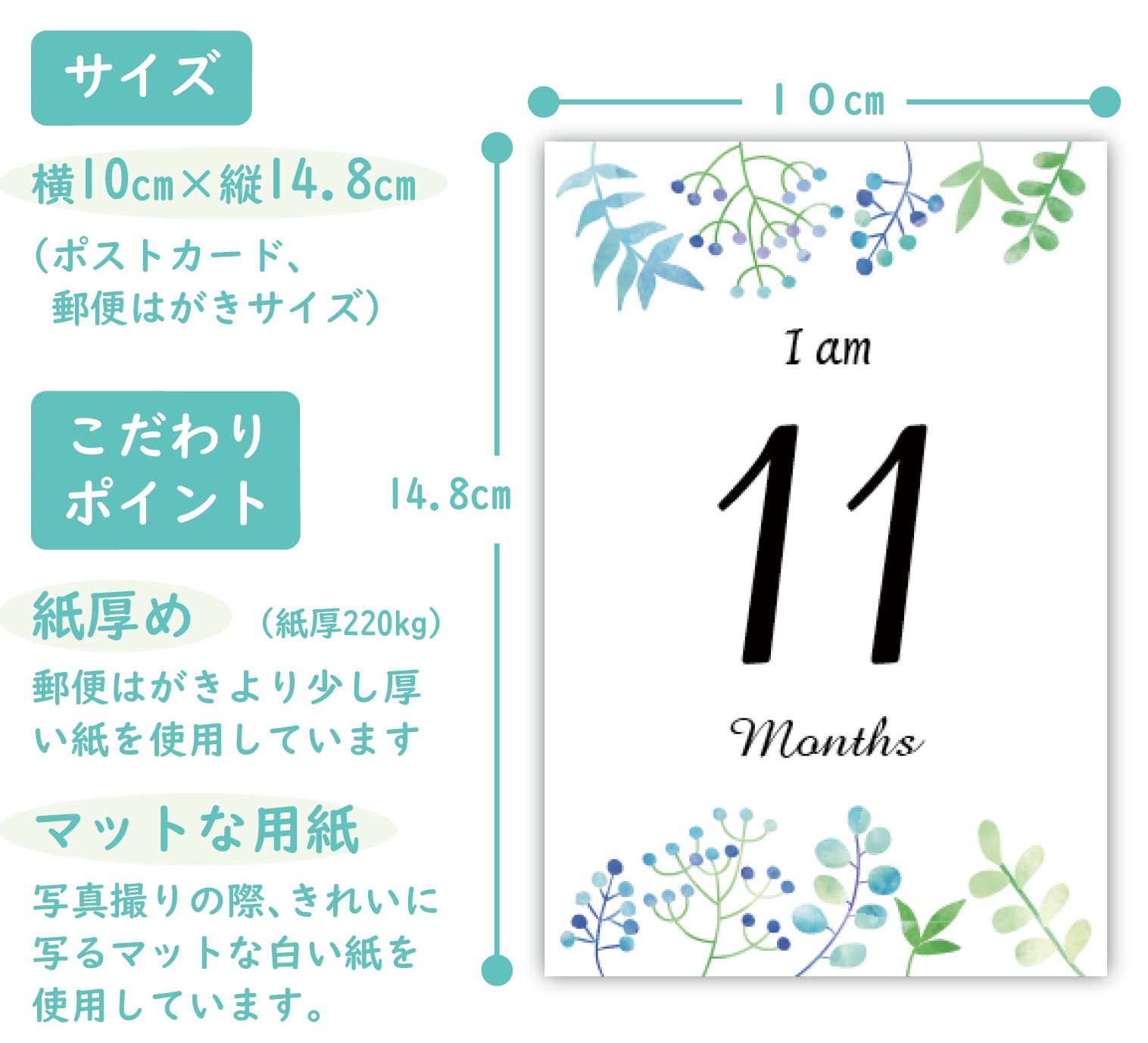 Amazon.co.jp: マンスリーカード ベビー 22枚セット（裏面にメッセージ