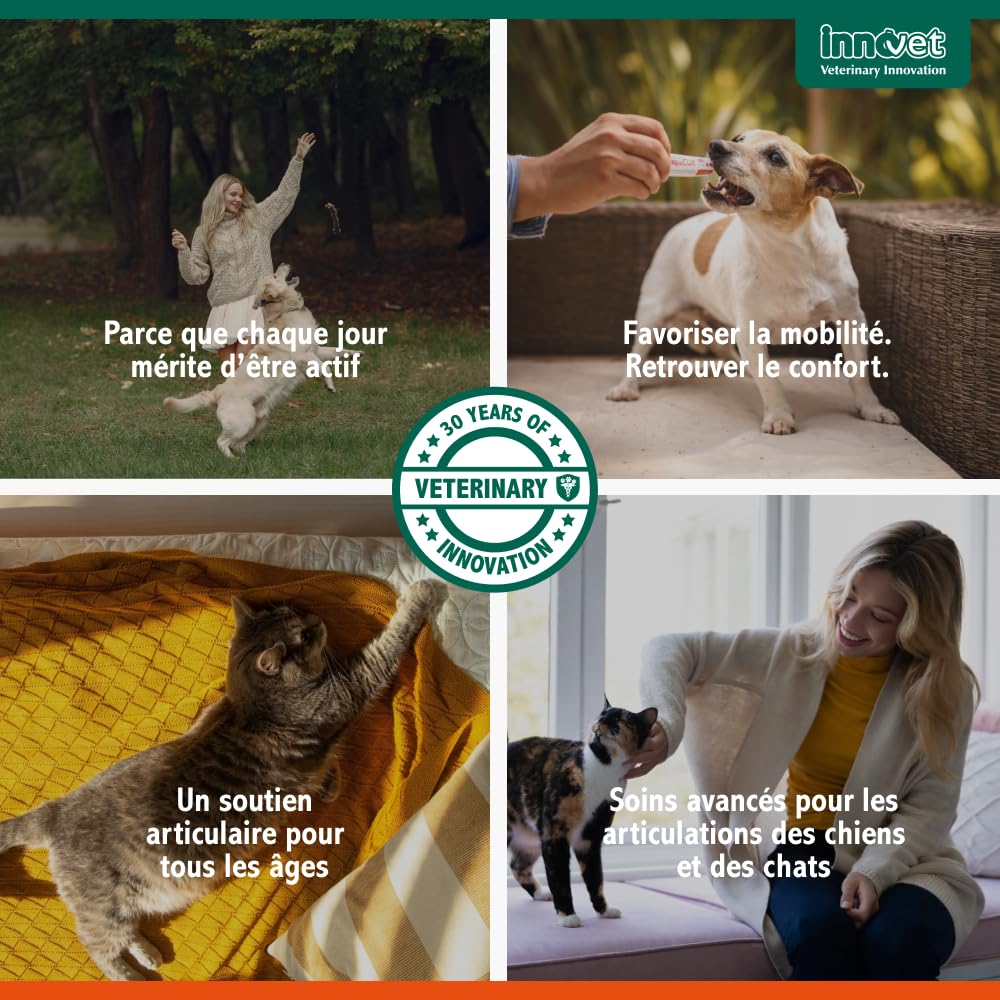 Innovet Glupacur, Complément Alimentaire pour Soulager les Articulations Chiens et Chats souffrant d'Arthrose, Soutien Avancé de la Mobilité, Palmitoylglucosamine, Curcumine et Vitamine E - 30 gélules