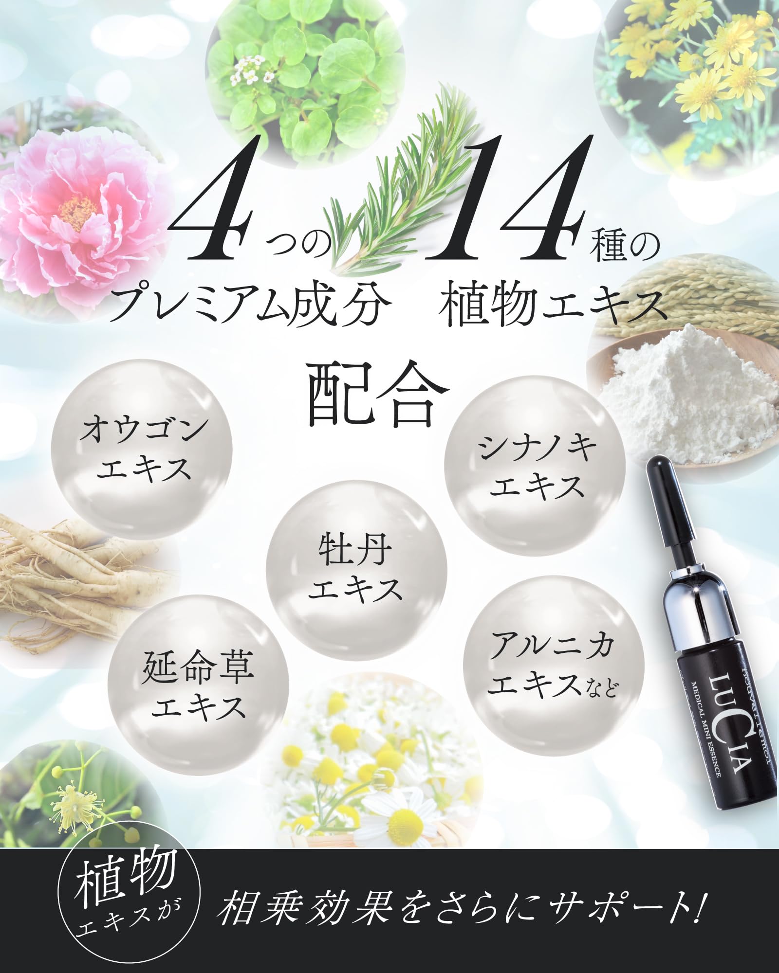Amazon | 【育毛専門メーカーのルチア】 ピンポイント用育毛剤
