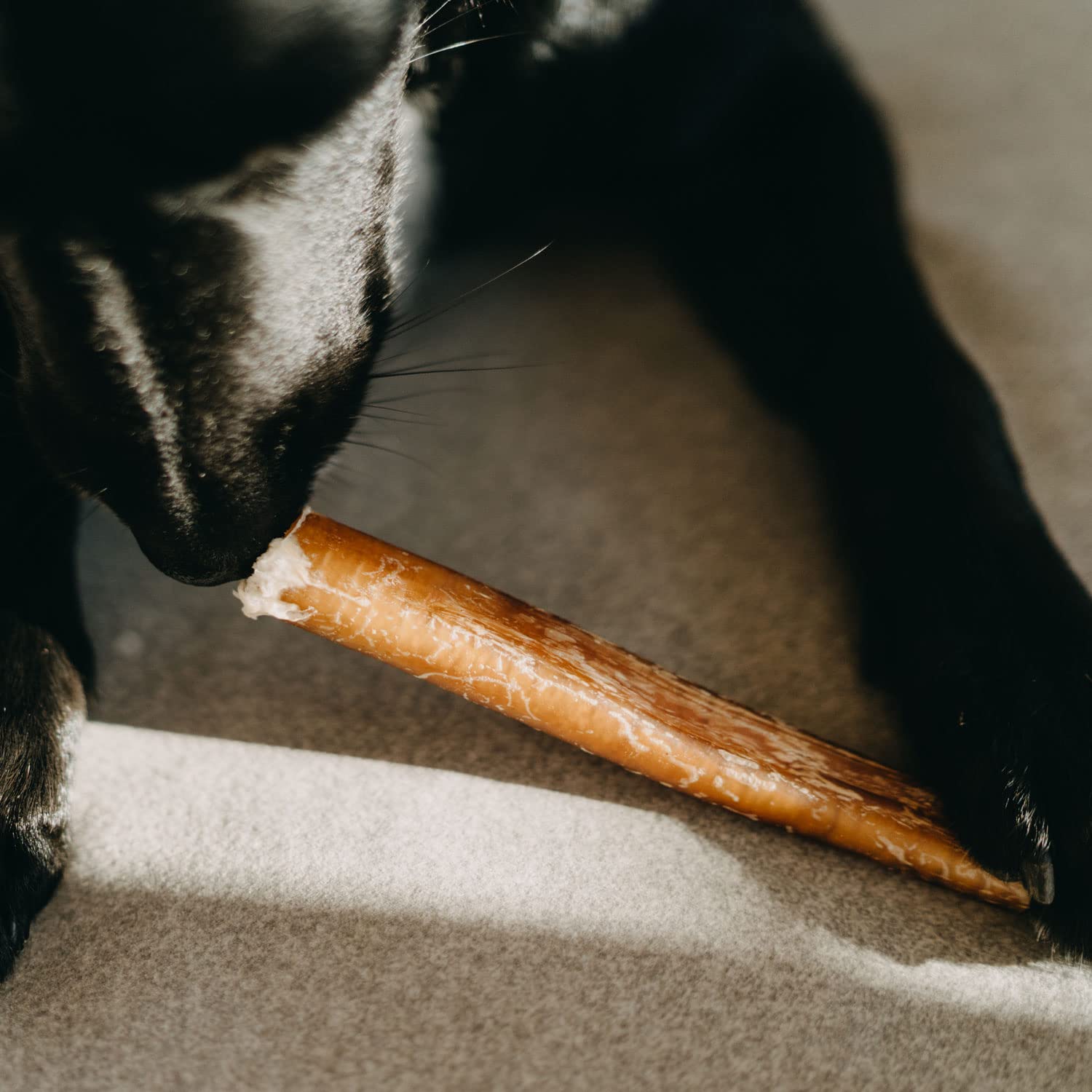 Bastoncino per Cane da 30 cm L - Nervo di Bue per Cani Essiccato, 100% Naturale, 3 Pezzi