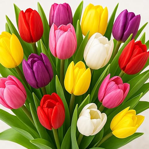 Tulipanes Triumph Mixtos - Varios colores de bulbos de tulipanes (5 bombillas)