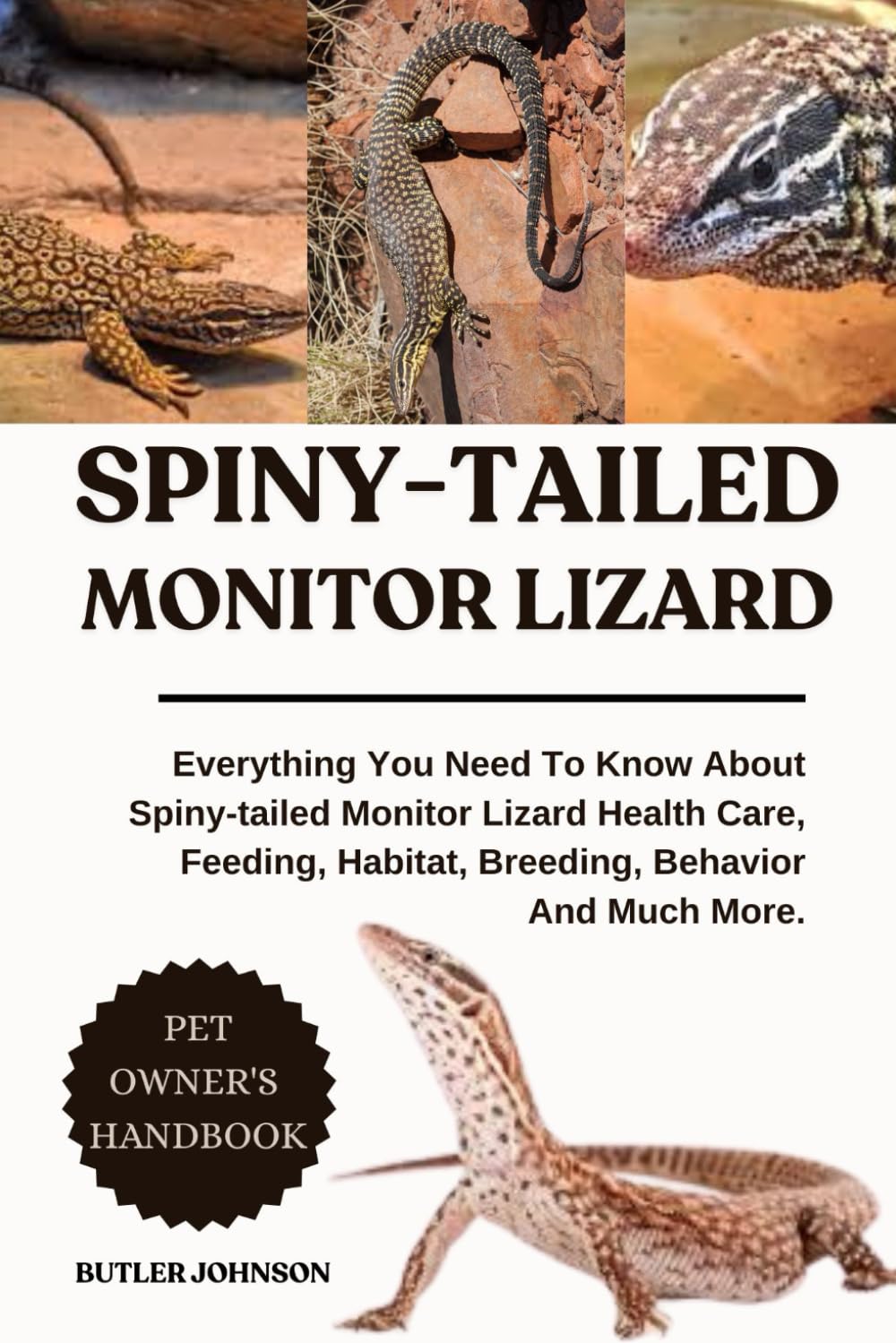 SPINY-TAILED MONITOR LIZARD: Everything You Need To Know About Spiny-tailed Monitor Lizard Health Care, Feeding, Habitat, Breeding, Behavior And Much More.