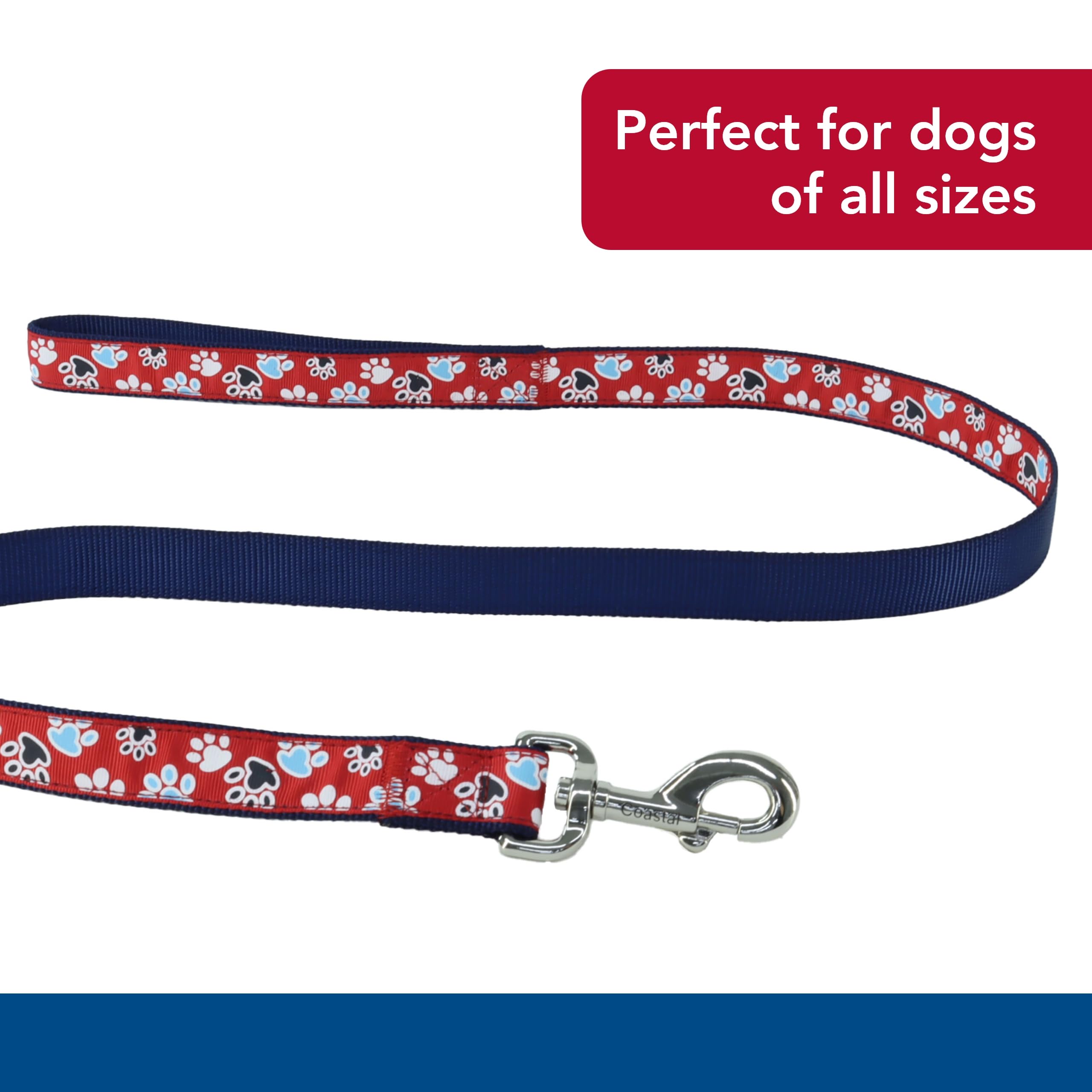 Amazon.com : Coastal Pet Ribbon Dog Leash - Contemporary Stylish