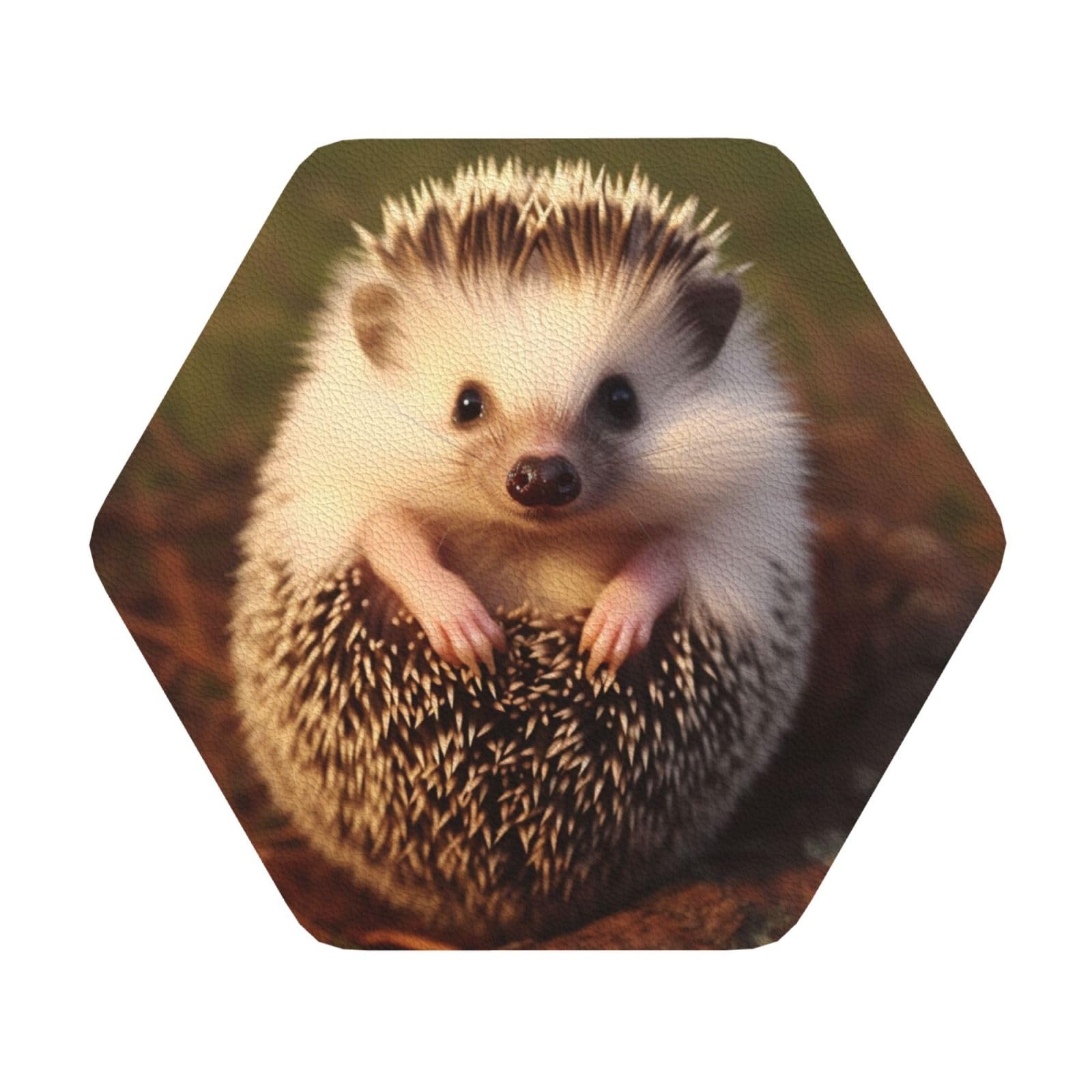 Fodpand Hexagon Hedgehog Drink Coasters Set Of 4, Heat Resistant Leather Coasters Fuuny Bar Beer Beverage Coaster For Drinks, Absorbent Cup Mat For Tabletop Protection, Housewarming Gift