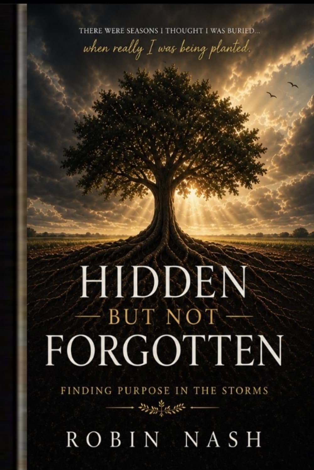 Hidden But Not Forgotten: Finding Purpose In The Storm