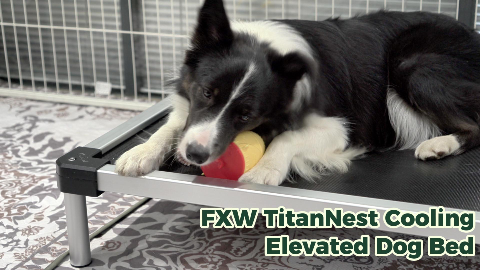 Amazon.com : FXW TitanNest Chew-Proof Elevated Dog Bed, Raised Cot