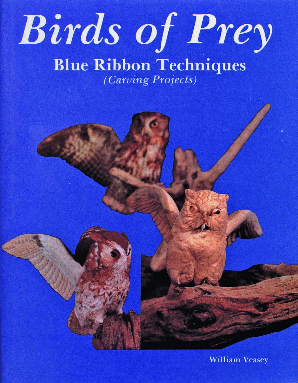 Livre Birds of Prey Blue Ribbon Techniques pour apprendre la sculpture animalière