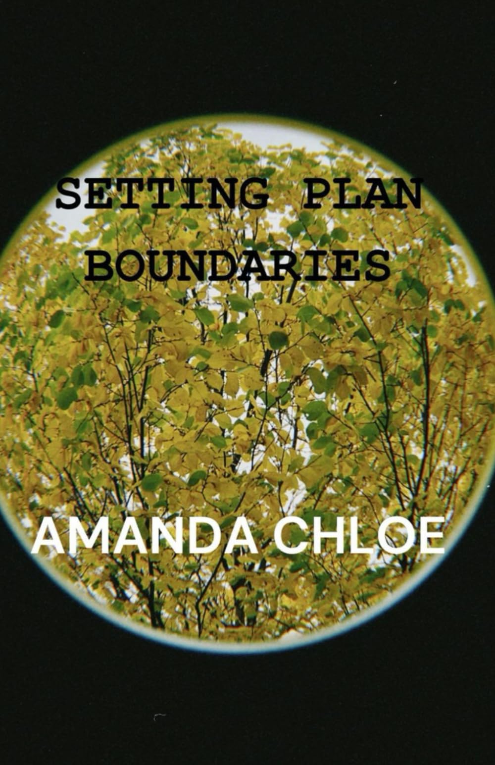 SETTING PLAN BOUNDARIES