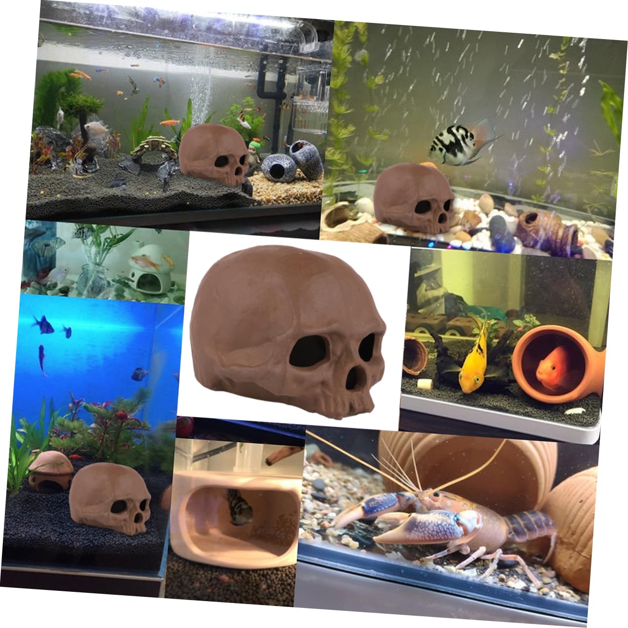 Sosoport 3stücke Skull Design Adornment Retro Pottery Ornament Für Aquarien Dekoration Langlebige Künstliche Schädeldesigns Als Versteck Für Fische Und Reptilien Für Aquatische