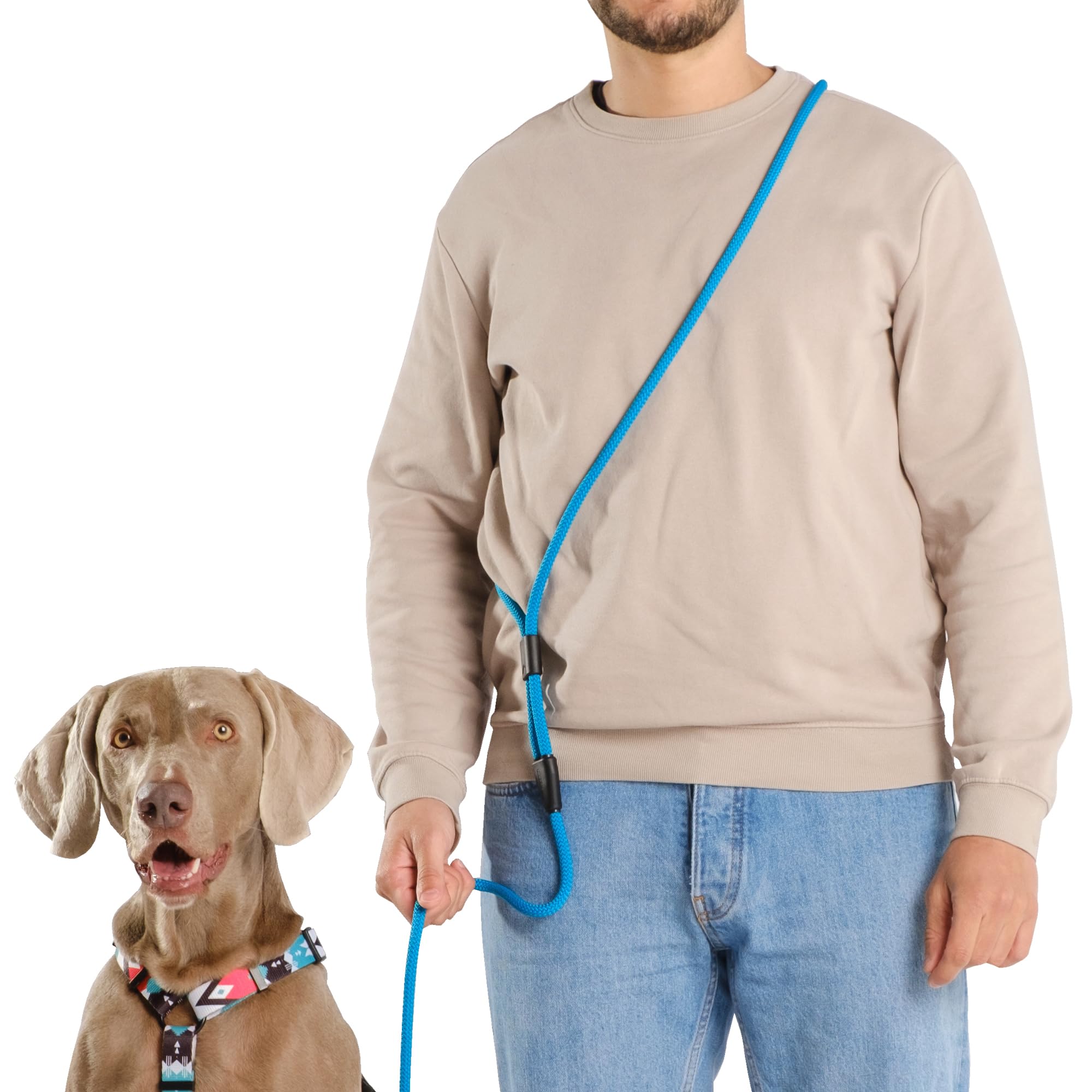 HAVNBERG Hands-Free Hundeleine, 2 Meter Leine, stufenlos Verstellbarer  Bauchgurt, Laufleine, Joggingleine, 3 in 1 Multifunktionsleine fr groe  und kleine Hunde, Trainingsleine, Jagdleine, Tauleine : Amazon.de: Haustier