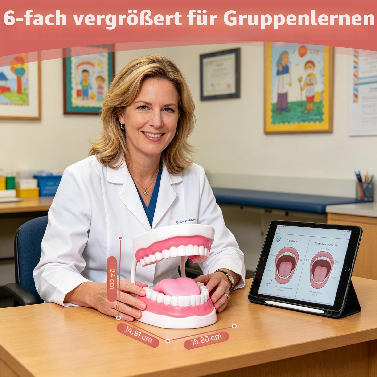 Ultrassist Zahnmodell für Sprachtherapie, Zähne Modell Lehrmodell für Kinder, Dental Zubehör