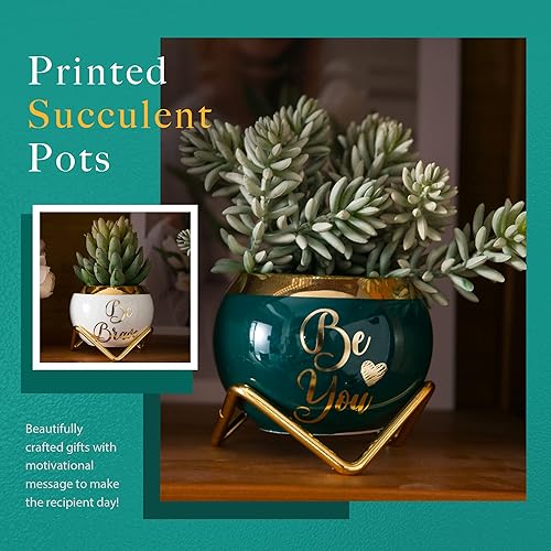 Miniatura 3 de Regalos para tía  Regalos para tía de sobrina, sobrino  Regalos para la mejor tía del mundo, regalos de cumpleaños para tía, regalos de tía de