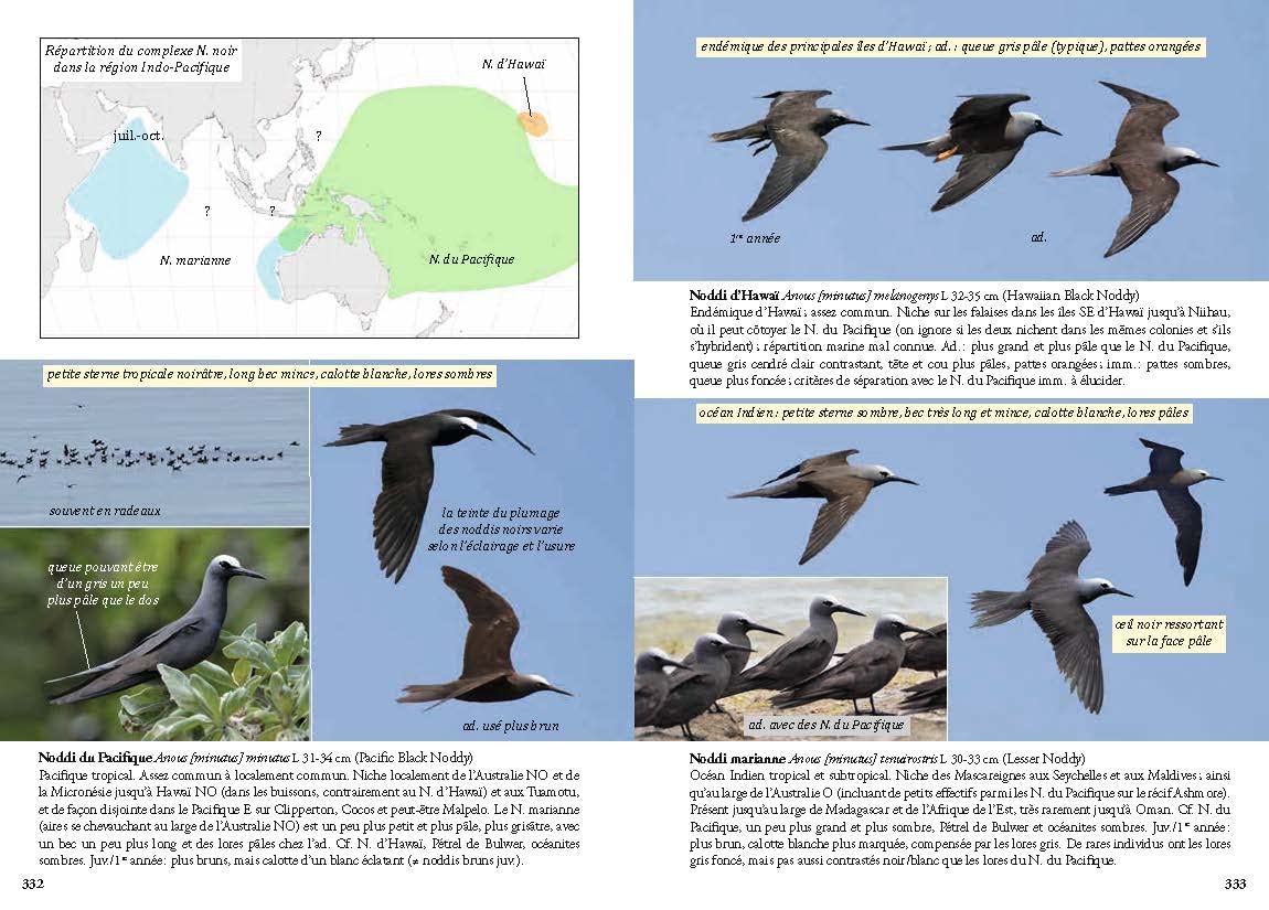 Guide photo des oiseaux marins du monde: Identifier toutes les espèces pélagiques